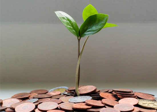 Plant growing from coins