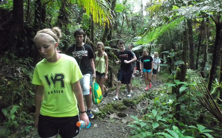 Group hiking through the rainforest