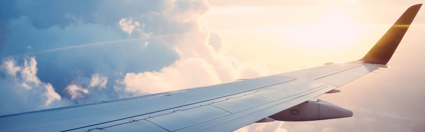 Plane wing