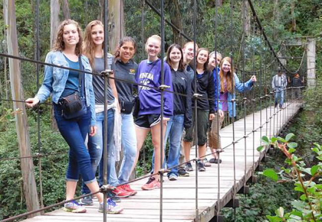 Kids on a rope bridge