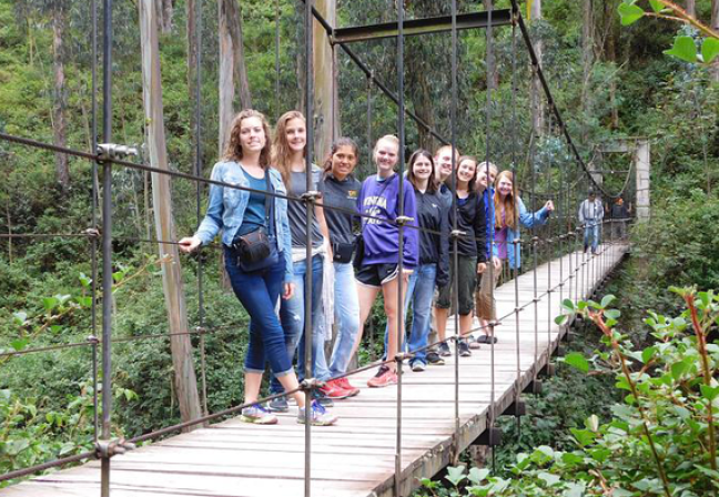 Kids on a Rope Bridge