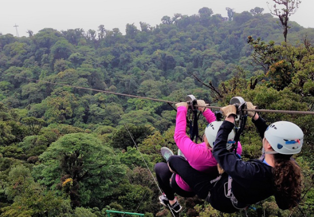 Ziplining over forest