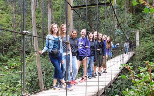 Group on Rope Bridge
