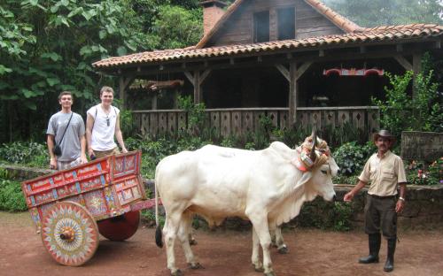 2 Boys in Caretta Cart in Costa Rica