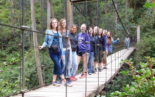Kids on a Rope Bridge