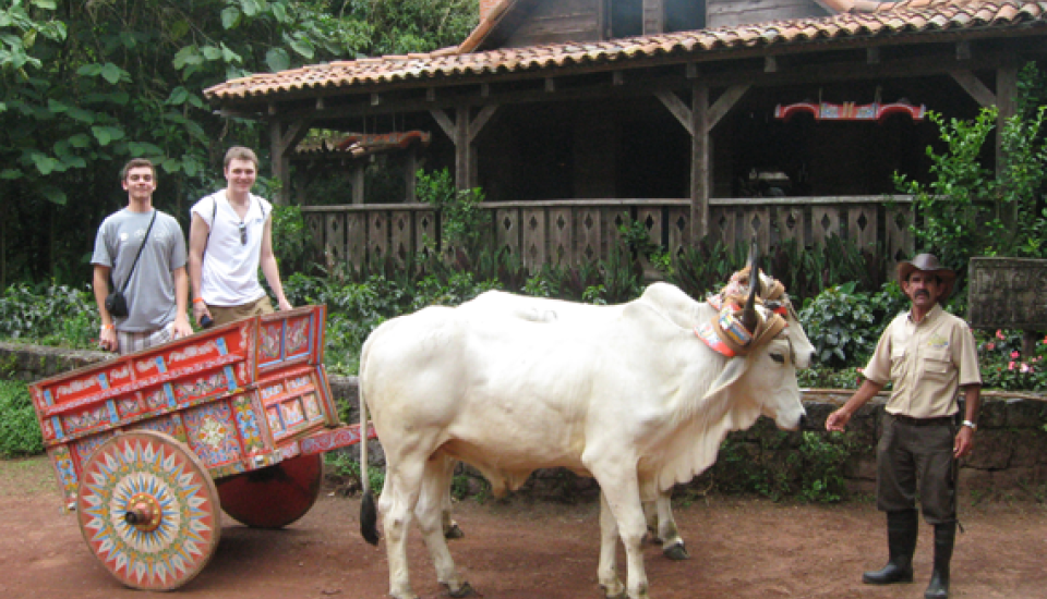 Two boys in a caretta drawn by oxen