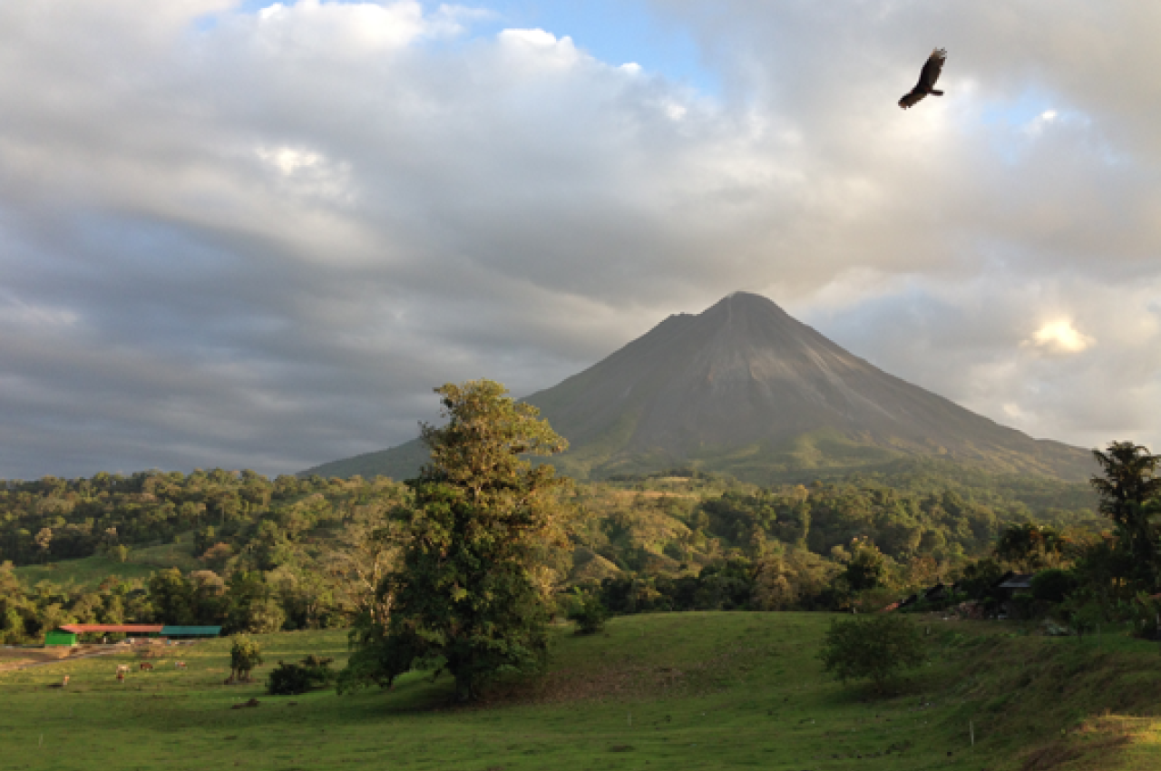 Bird flying over Arenal Volcano