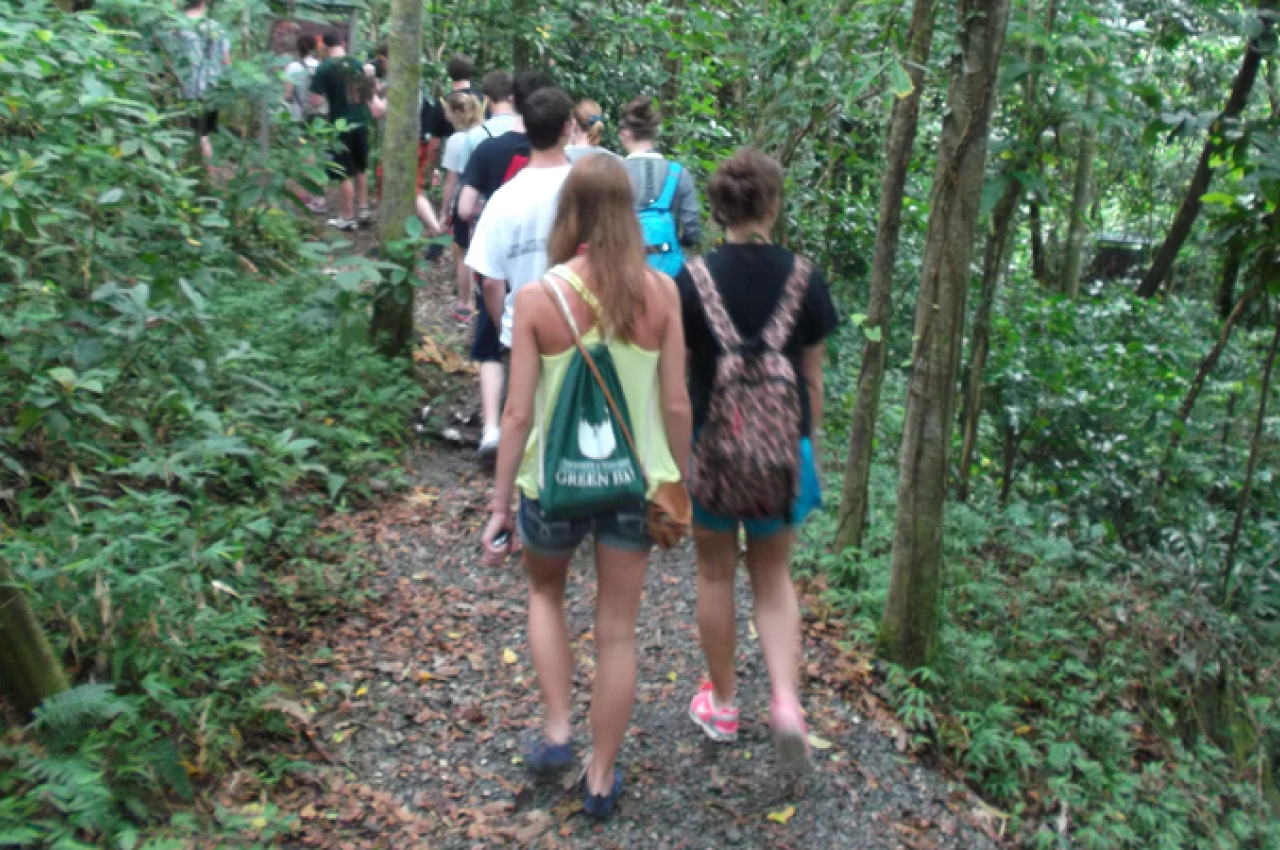 Group hiking through the rainforest
