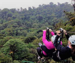 Ziplining over forest